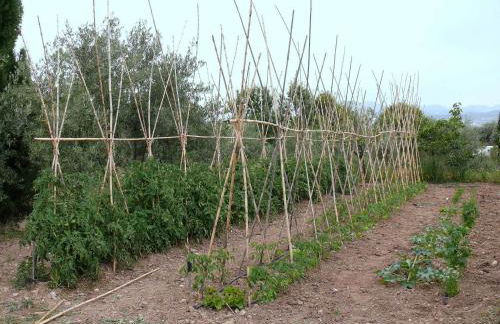 Cortijo Algabia - Photo 45