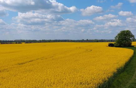 großzügige Ferienwohnung mit weitem Ausblick - Photo 15