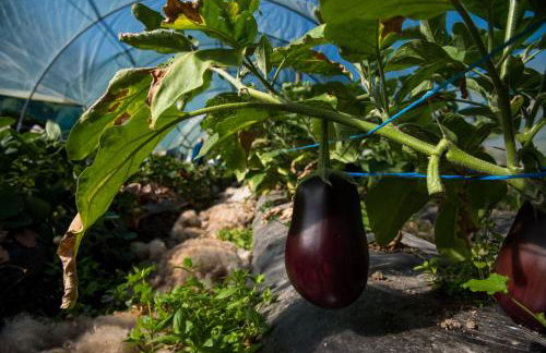 Cascina Veja - Foto 69