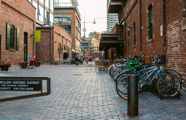 Bright 4-Bedroom in Forest Hill - Photo 31