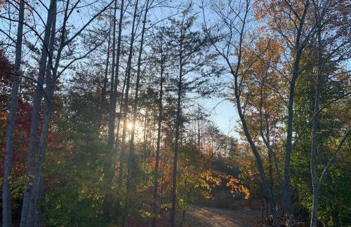 luxury Dear Tryon Cabin by TIEC in Green River Highlands - Foto 22