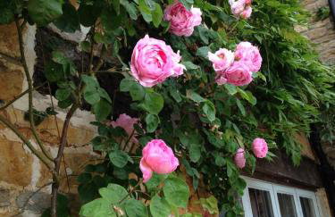 Hewletts Mill - Foto 9