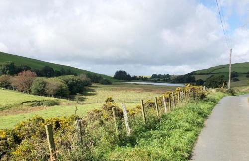 Llynhillyn Cottage - Foto 26