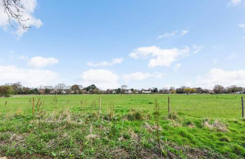 Warblers - West Wittering - Foto 51