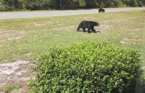 A Cozy Stay - Photo 17