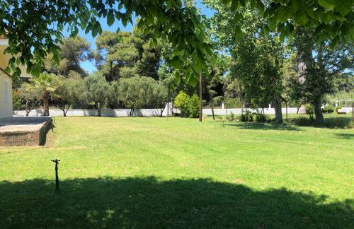 Villa Anastasia! in STROFYLIA pine FOREST!!! - Foto 53