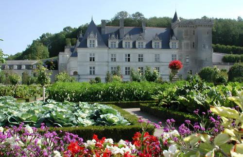 La Maison Bleue - Foto 19