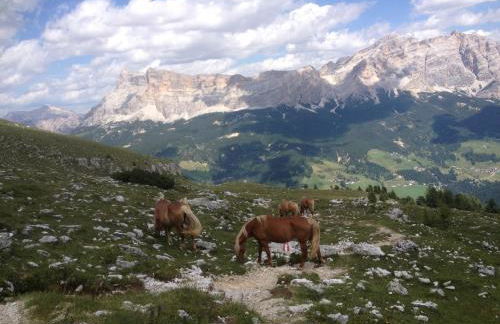 Apartments Gana - Photo 27