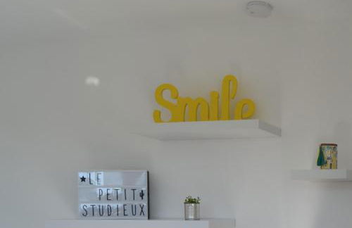 Le petit studieux - Parking - Animaux acceptés - Centre ville accessible à pied - Foto 10