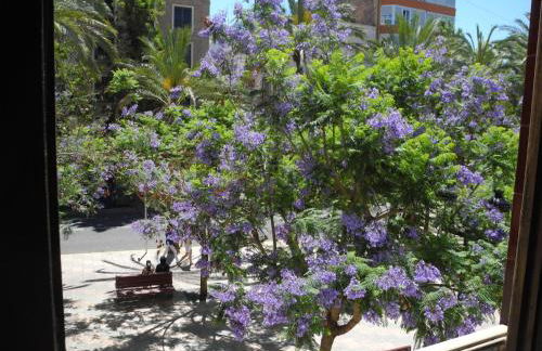 Apartamento Valencia - Foto 68