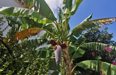 Spain Apartments Mar De Cristal - Foto 28