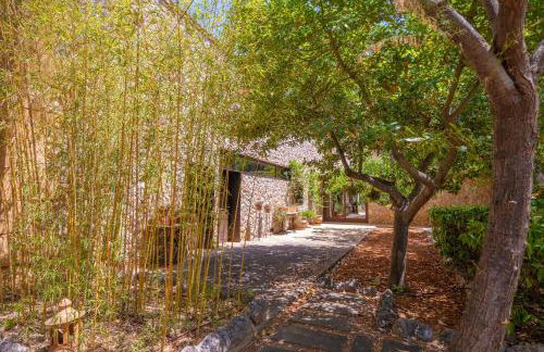 Can Toni Gat - Foto 56