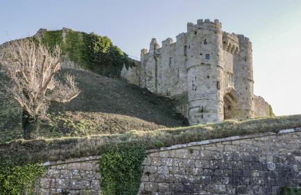 Ladylands Cottage - Photo 40