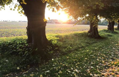 Stilvolles Reetdachhaus Coastline an der Ostsee - Foto 8