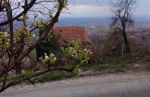 Plesivica Hillside Holiday Home with Hot -Tub - Foto 4