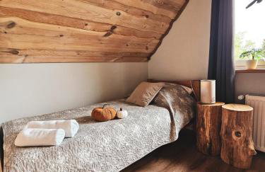 Domek Drwala k. Karpacza - Foto 71