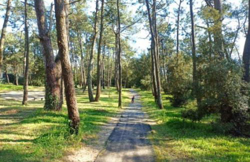 Maison de vacances 4 personnes - Foto 8