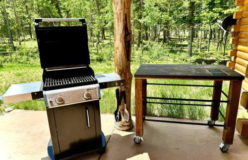 Log Cabin! Hot Tub|Sauna|Fire Pit|Mnt. Access! - Foto 45