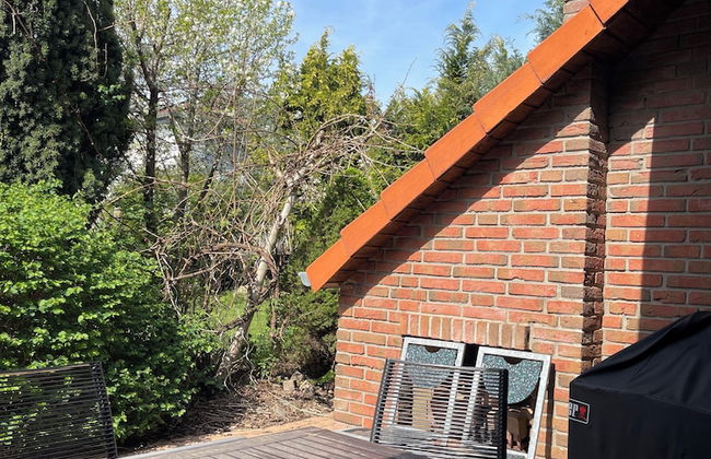 Modern House Gehrden contactless garden - Foto 58