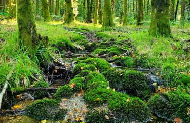 Casa da Torre - Natureza, Cultura e Aventura no Norte de Portugal - Foto 77
