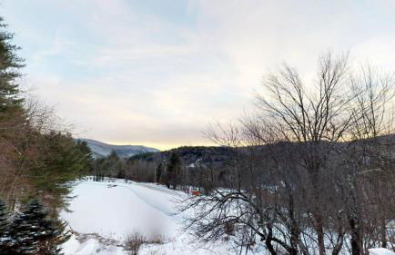 Silver Spring Chalet - Foto 41