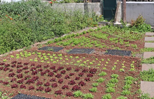 Casa das Rosas e Casa Do Mar - Foto 62