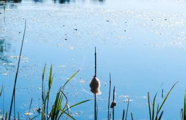 Siedlisko Słoneczny Jar - Foto 26
