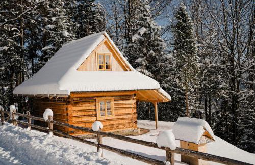 Sopki Stopki Polana Wspólna - Foto 2