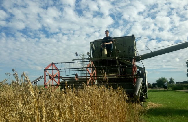 Den Heijkant - Photo 55