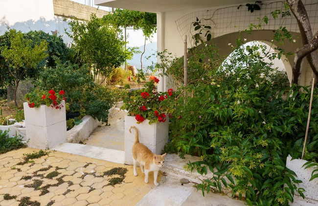 EMPHASIS Traditional House - Foto 25