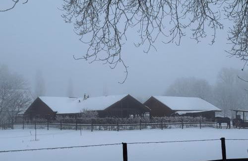 Ferienwohnung - Photo 9