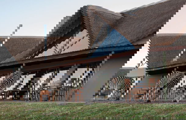 JBay Zebra Lodge - Photo 78