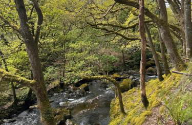 Bala Holiday Suites - Photo 18