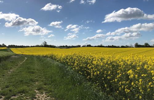 Sommerby Sky - Foto 24