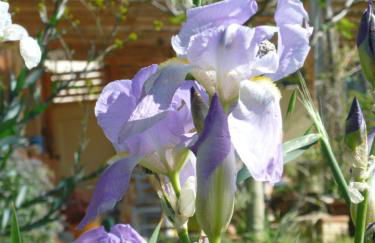 Strohballenhaus Valle delle Rose - Photo 36