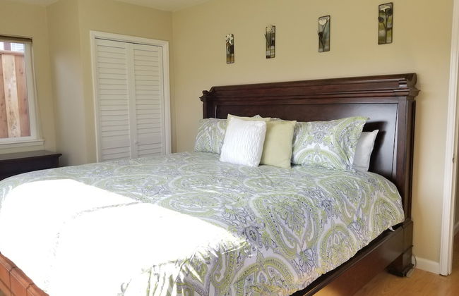 Juniper Berry - Foto 6