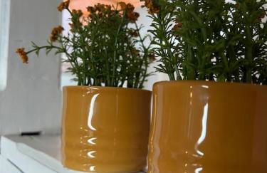 Geschmackvolle Wohnung 65qm in Solingen NRW - Foto 19