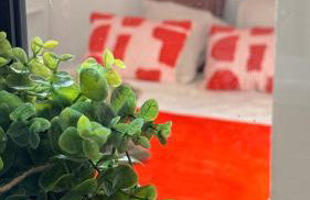 T2 cosy tout équipé, parking et wifi gratuit, Castres - Foto 56