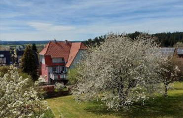 Schwarzwaldliebe - Foto 14