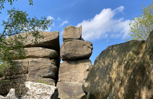 Artists' Cottages - Foto 49