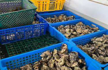 Fantastic 6 Bedroom House with stunning sea view - Foto 44