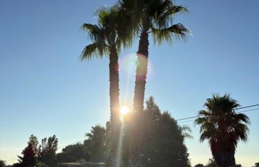 Villa Sofia Garden & Relax - Foto 20