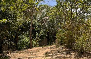 Lugar para descansar com a familia - Foto 38