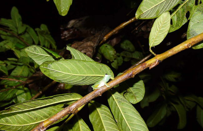 Randonnée de nuit dans le domaine de Rio Agujitas - Photo 6
