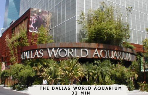 4BD Tropical Pool Oasis with a Game Room - Photo 54