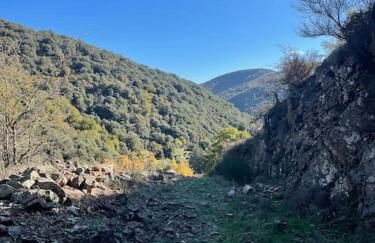Appartement de Charme dans un Ancien Mas Cévenol piscine et jacuzzi - Foto 52