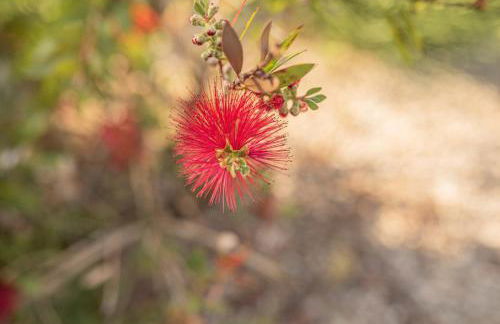 Les Villas Chamontines - La Villa des Chênes - Photo 47