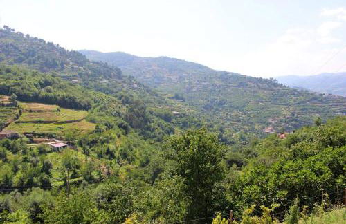 Peaceful villa in São Martinho de Mouros with private pool - Foto 33