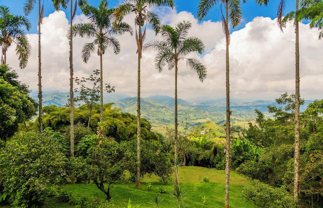 Aldea Sabatinga - Foto 69