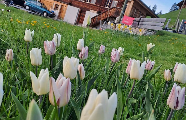 Chalet Grittelihus Near Interlaken, in a Natural Paradise - Photo 33